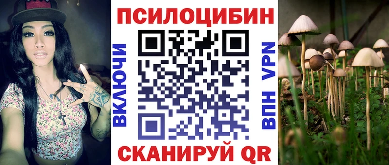Галлюциногенные грибы Psilocybine cubensis  наркотики  Красавино 